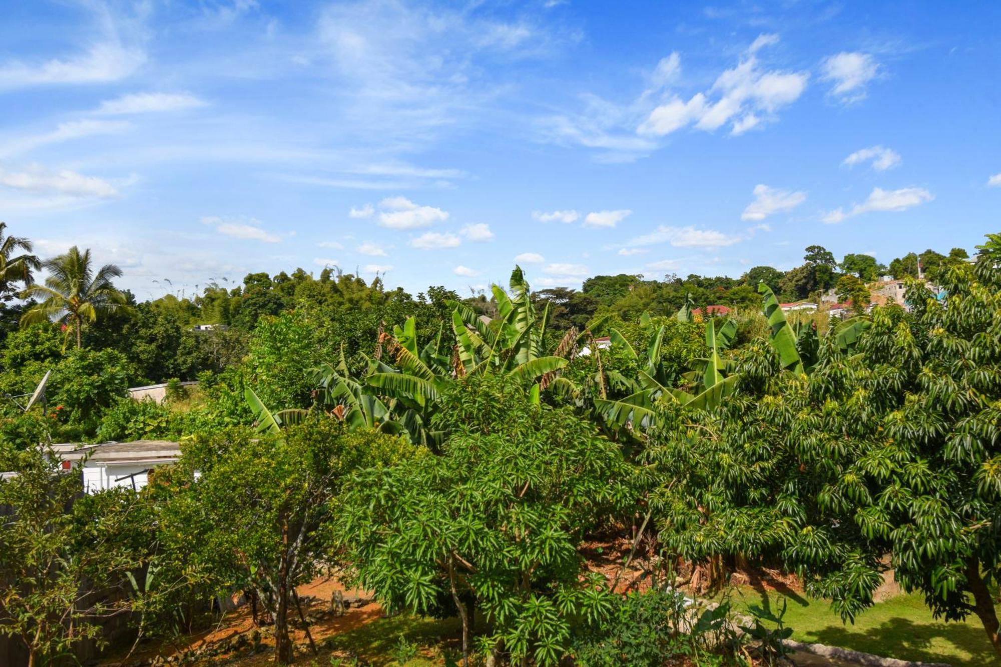 דירות מנדוויל Harriott Heights מראה חיצוני תמונה